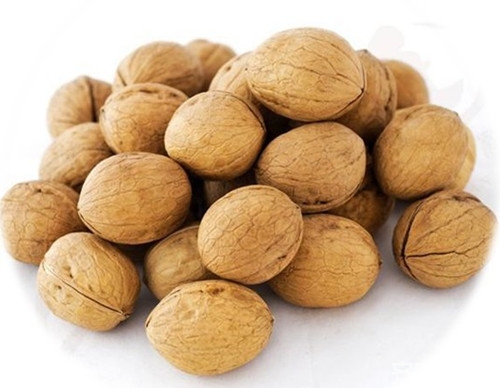 新疆核桃品种  新疆6大核桃的品种及4大特产核桃