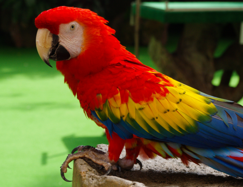 出现这4种征兆，预示家有喜事，天降横财！