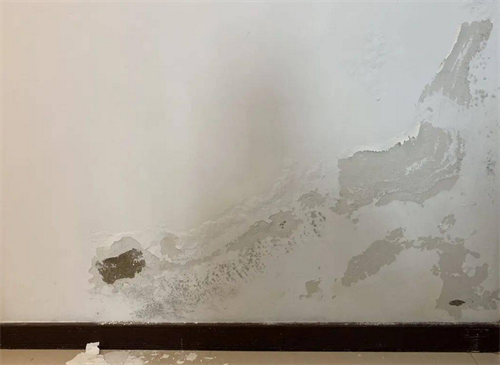 墙体返潮怎样彻底处理
