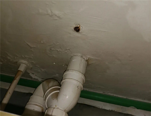 卫生间漏水到楼下维修费用是多少