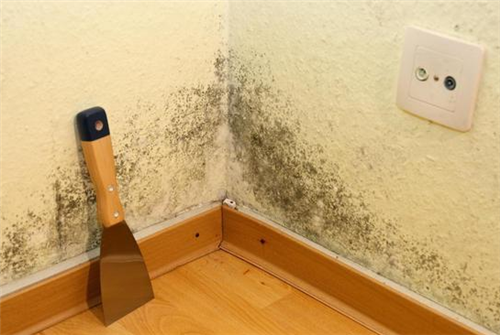 墙面潮湿起皮脱落怎么处理