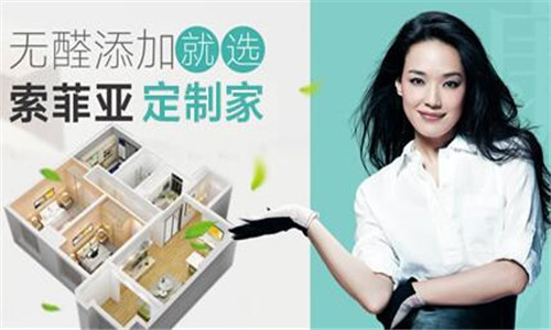 定制衣柜加盟哪家好    整体衣柜哪个品牌好