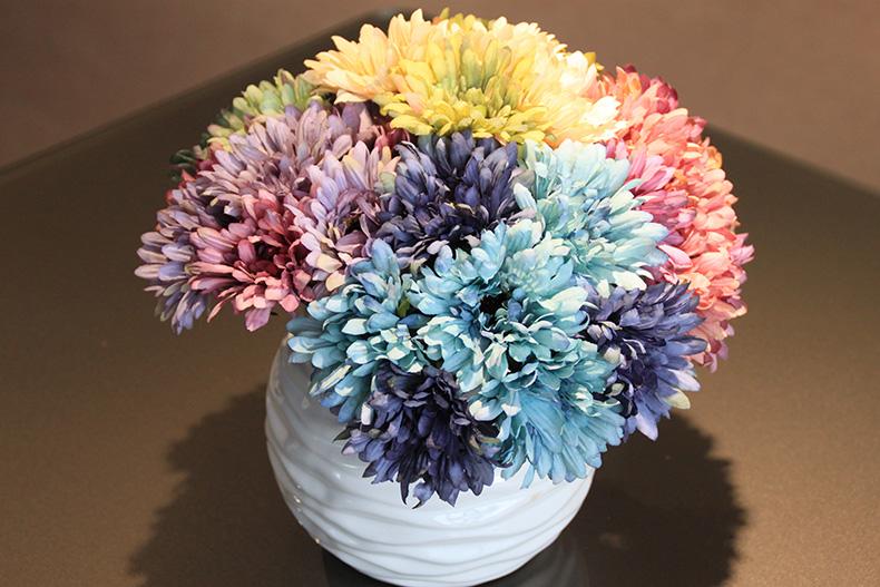 去甲醛10大植物高手