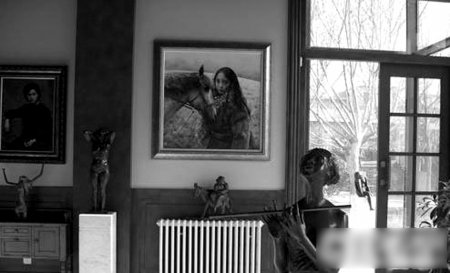 华谊老总王中军豪宅曝光 内部装饰奢华名画扎堆