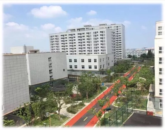 月租800的上海公租房，环境居然这么好，一开始也不敢相信