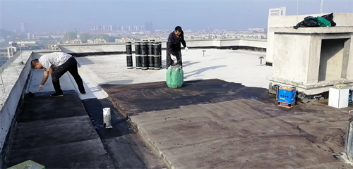 房顶做防水一般多少钱一平方