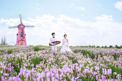 拍薰衣草婚纱照的拍摄技巧  拍薰衣草婚纱照的注意事项