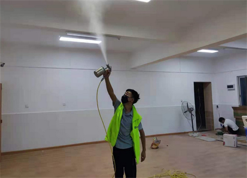 专门除甲醛的机构有用吗