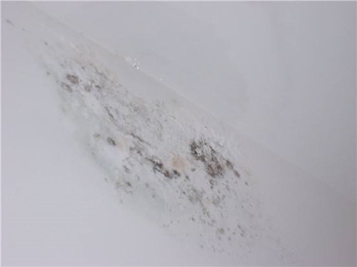 墙边漏水怎么处理