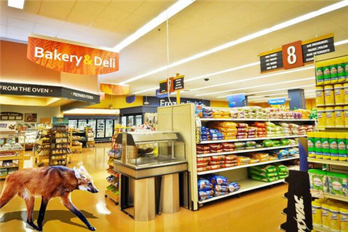 超市装修注意事项   五大装饰技巧让您超市生意好到爆