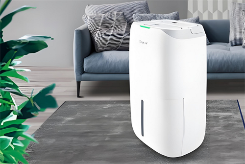 除湿机怎么除湿效果最好