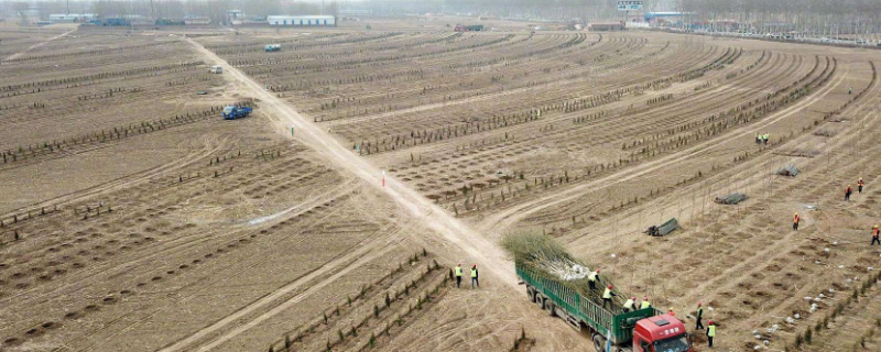 建筑工程地材包括哪些