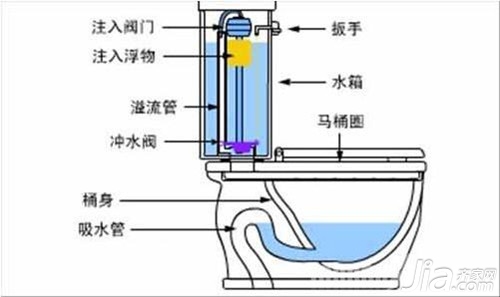 马桶的选购 虹吸式马桶结构图