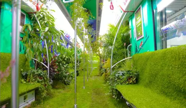 把森林搬进地铁？不如把“禾香”带回家！