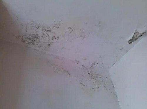 家里漏水怎么找漏水点