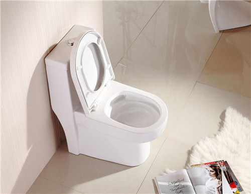 马桶圈的正确用法是什么