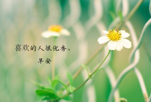 早安情话写给女朋友的有哪些 最浪漫的说早安方式