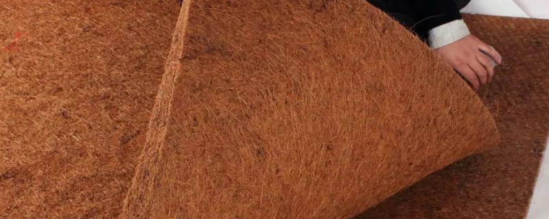 棕垫都有甲醛吗