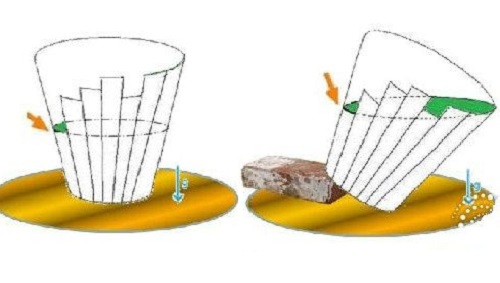 新木桶理论是什么 如何正确认识自己的长板