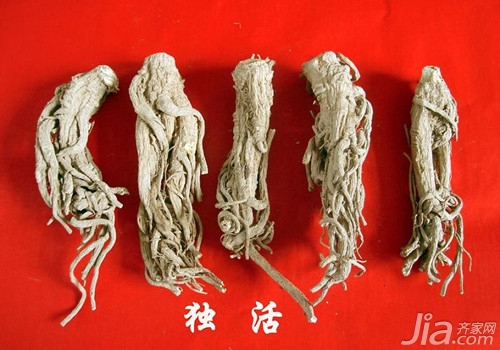 独活的功效与作用及食用方法有哪些
