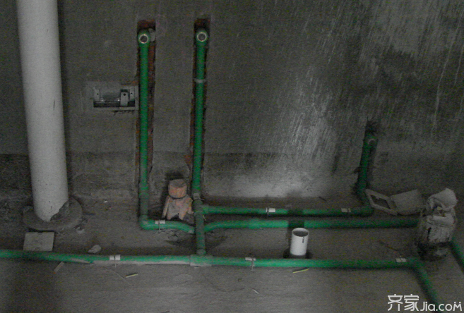 剧毒蓝环章鱼被当宠物卖？装修时千万别把危险留在身边