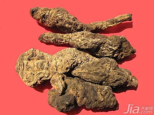 生地的功效与作用及食用方法