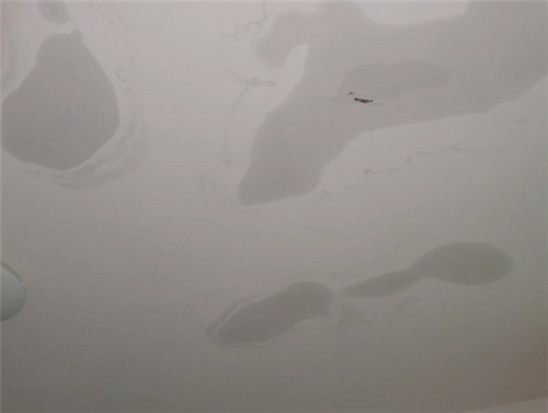 屋顶漏水怎样处理最好