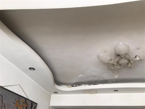 检测漏水点多少钱