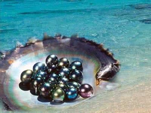 黑珍珠吊坠价格一般多少钱 挑选黑珍珠有哪些技巧