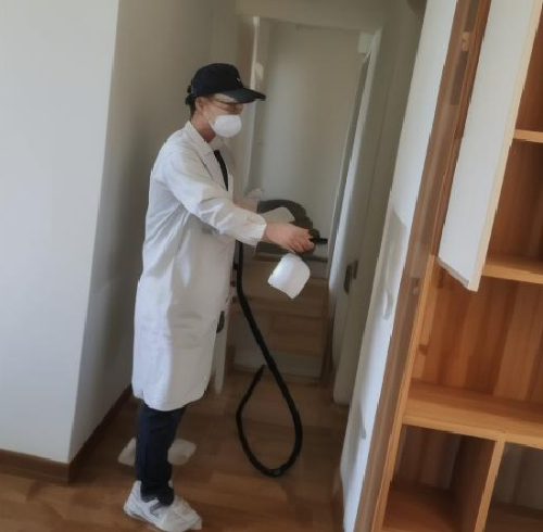 除甲醛用什么最好最快