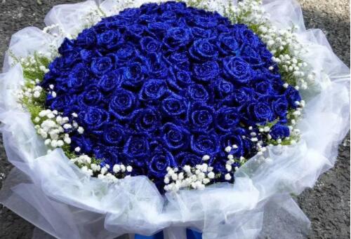 送花11朵好还是19朵好 玫瑰花送人几枝好