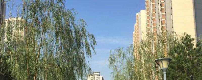 双休日装修可以报警吗