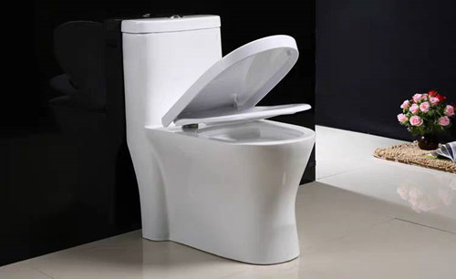 抽水马桶漏水的原因和处理方法