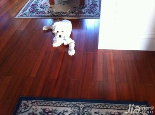 拜尔木地板怎么样 拜尔木地板环保效果好吗