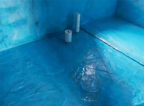 卫生间防水一般多少钱一平