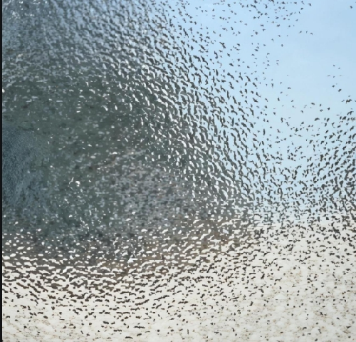 磨砂玻璃多少钱一平方米