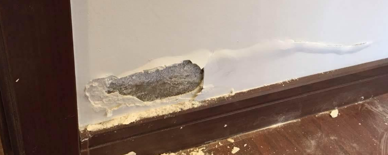 墙面潮湿起皮脱落怎么处理