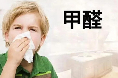 新房除甲醛最快的4种方法