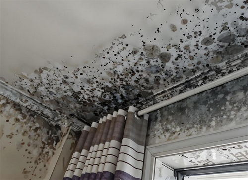 房屋漏水鉴定费用收取标准是什么