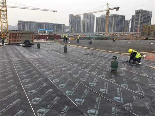 屋顶防水用什么材料好