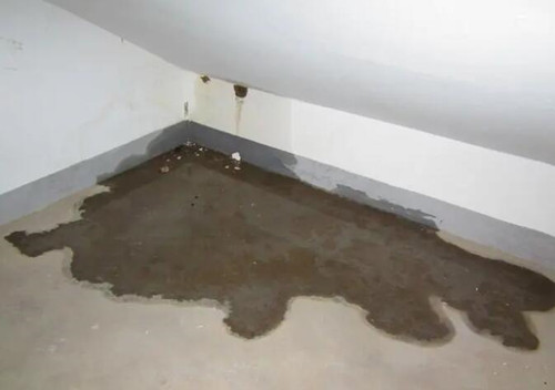 墙面渗水维修多少钱