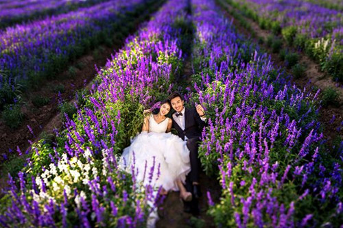 薰衣草庄园婚纱摄影攻略 北京薰衣草庄园有几处