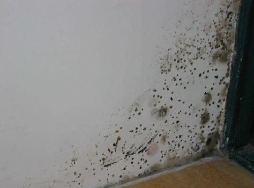如何判断墙面是返潮还是渗水