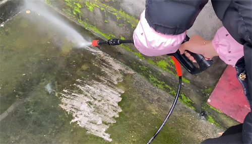 水泥地面青苔怎么去除最简单方法