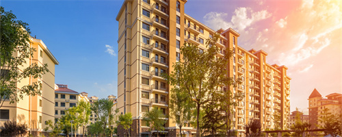 板楼是什么意思