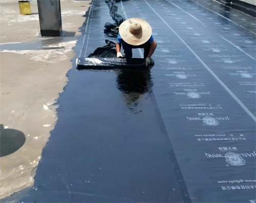 屋顶防水多少钱一平方米