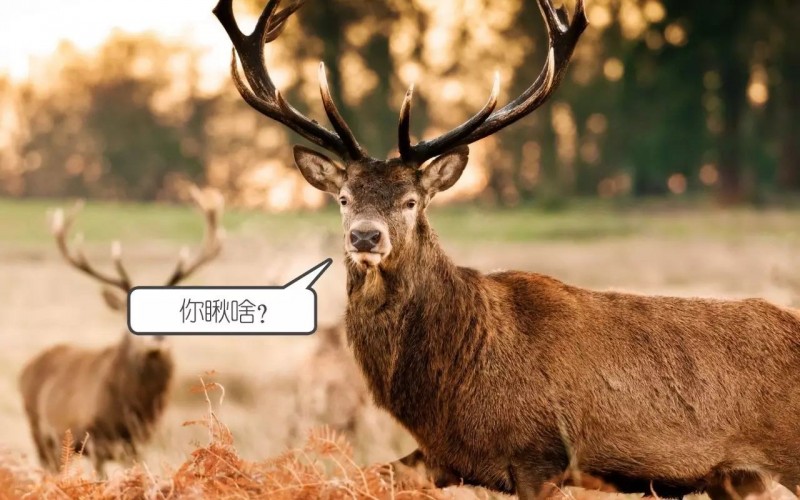 「北欧风格」到底是什么风格？以人为本才是核心