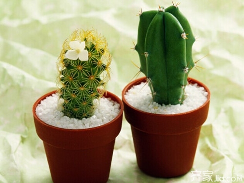 如何去除装修异味 教你去除装修异味的九大方法