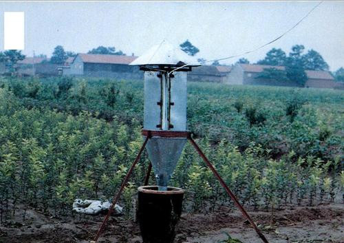 黑光灯是什么灯