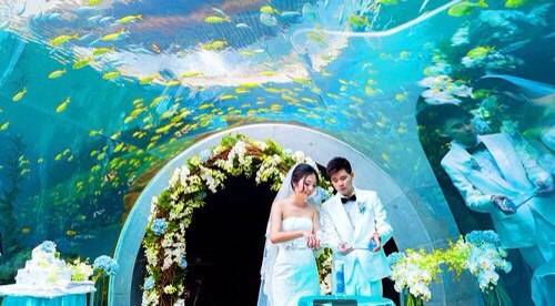 海底婚礼在国内可以举办吗 如何办一场美丽的海底婚礼